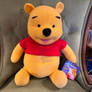 Fisher  Price Large Talking Winnie The Pooh Plush Stuffed Bear Animal